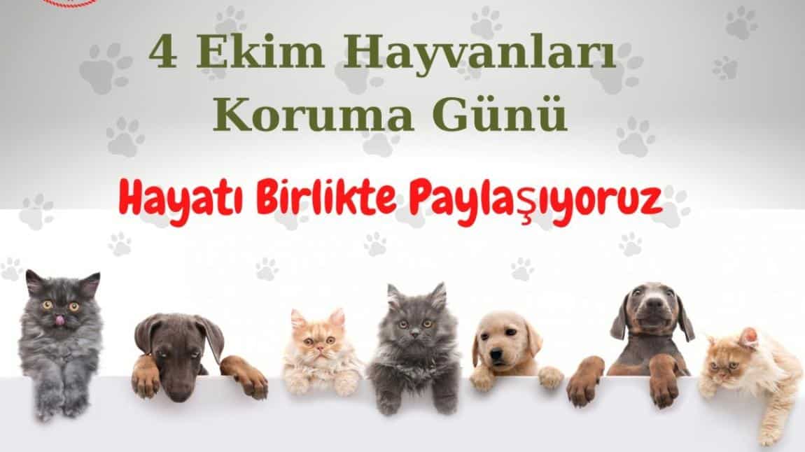 Hayvanları koruma günü